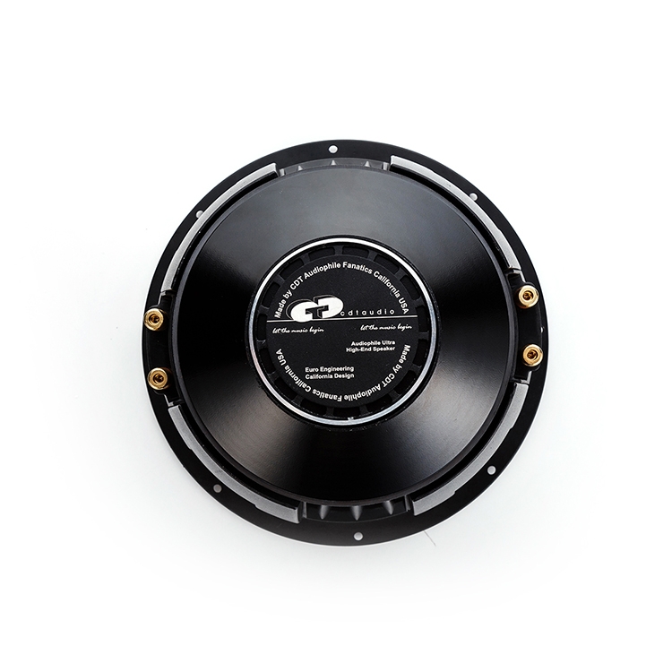 QES-1000  10'' HIGH POWER SUBWOOFER