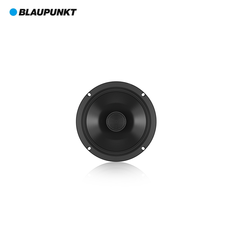 德國藍寶（BLAUPUNKT）BGx 6652 衕軸喇叭